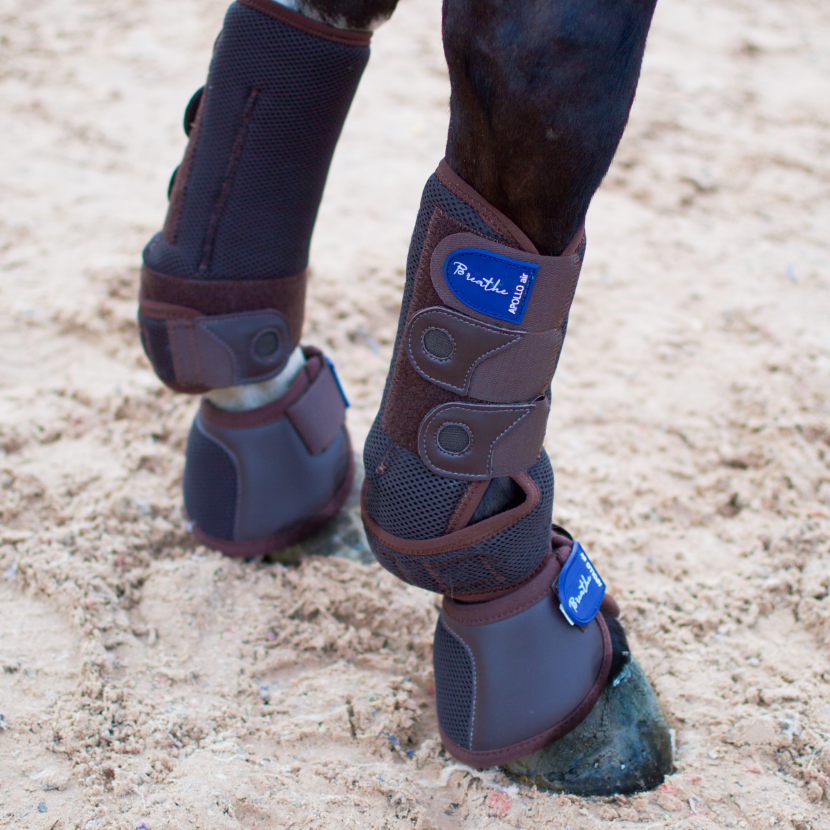 Apollo Air Breathe Overreach Boots Highgate Horseware