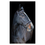 Core Collection Anatomic Bridle with Sure Grip Reins