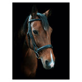 Core Collection Anatomic Bridle with Sure Grip Reins