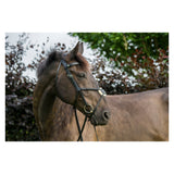 Freedom Grackle Bridle