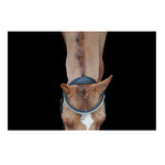 Ultra Comfort Navan Bridle