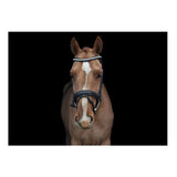 Ultra Comfort Navan Bridle