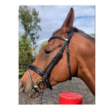 Ultra Comfort Waterford Bridle