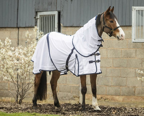 Fly Rug supplied with Neck Cover