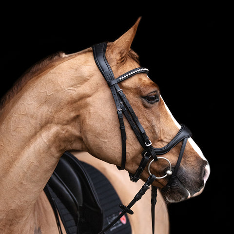 Kieffer Ultrasoft 'Amy' Bridle