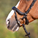 Kieffer Ultrasoft 'Amy' Bridle