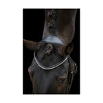 Ecosoft Acclaim Bridle