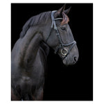 Ecosoft Acclaim Bridle