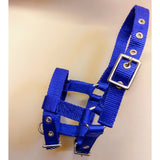 Mini Foal Headcollar