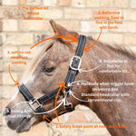 Safety Headcollar