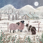Christmas Cards - Collie & Friends