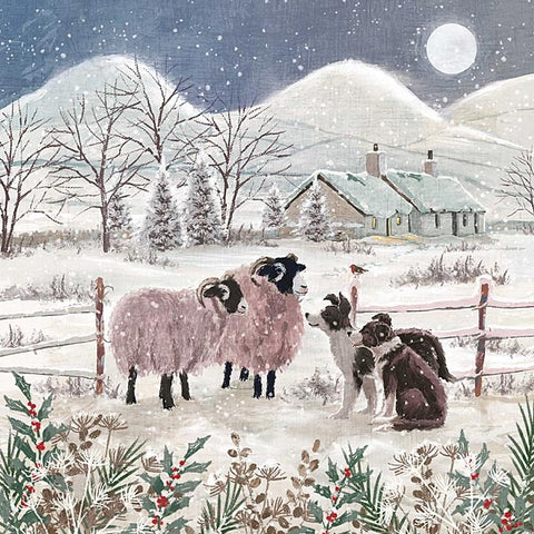 Christmas Cards - Collie & Friends