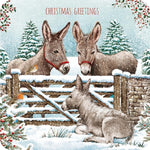 Christmas Cards - Over The Gate