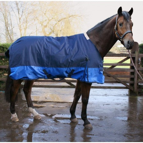 Foal Turnout Rug 100g