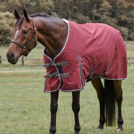 LIMITED EDITION 50g Regular Neck Turnout Rug (1200D) - Merlot