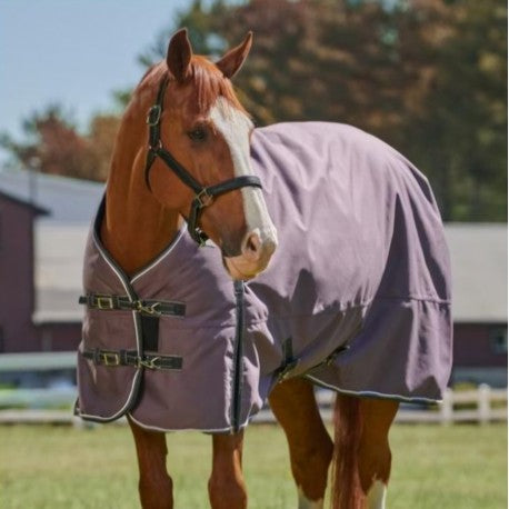 LIMITED EDITION 50g Regular Neck Turnout Rug (1200D) - Moonstone