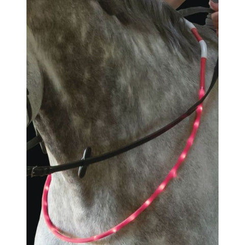 USG Flashing LED Equine Neck / Rein Collar