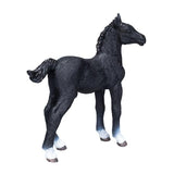 Mojo: Hanoverian Foal Black