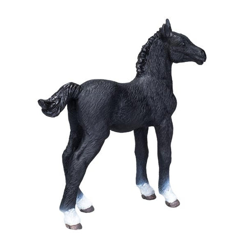 Mojo: Hanoverian Foal Black