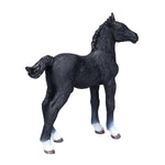 Mojo: Hanoverian Foal Black