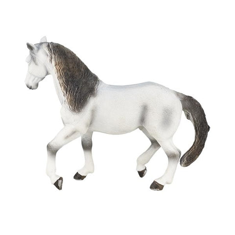 Mojo: Andalusian Grey