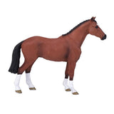 Mojo: Dutch Warmblood