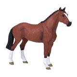Mojo: Dutch Warmblood