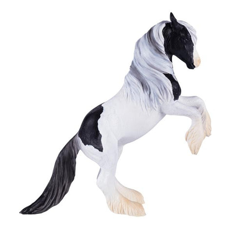 Mojo: Irish Cob Stallion