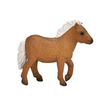 Mojo: Shetland Pony FOAL