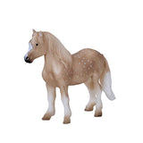 Mojo: Welsh Pony