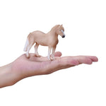 Mojo: Welsh Pony