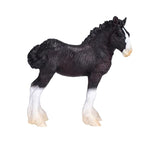 Mojo: Shire FOAL