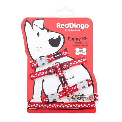 Red Dingo Puppy Kit Set - Collar, Harness & Lead