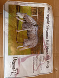 RHINEGOLD SAVANNA FLY RUG - MISSING SURCINGLES