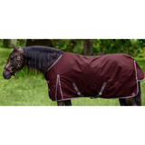 Sheldon 100g reg neck 1200D ( limited edition)