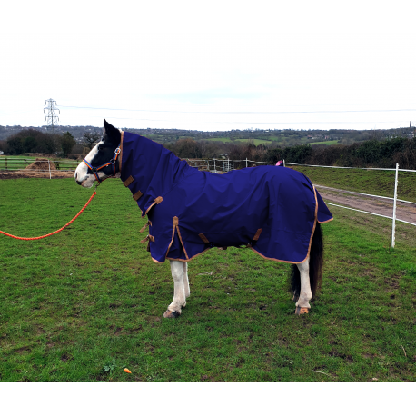 Sheldon No Fill Combo Turnout Rug