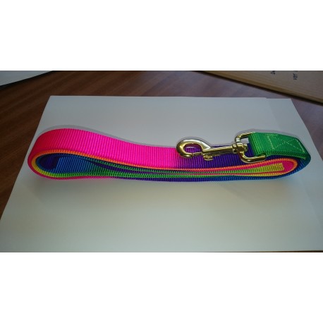 Sheldon Signature Rainbow Web Lead
