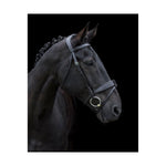 Show Comfort Bridle - BLACK - COB