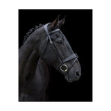Show Comfort Bridle - BLACK - COB