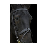 Show Comfort Bridle - BLACK - COB