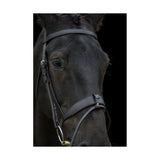 Show Comfort Bridle - BLACK - COB