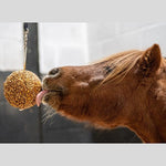 Likit Granola Stall Ball 1.6kg