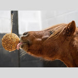 Likit Granola Stall Ball 1.6kg
