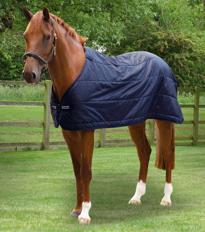 Stratus 100g Horse Rug Liner