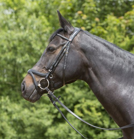 Kieffer Ultrasoft 'Tara' Bridle