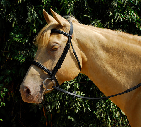 Leather Bridle with Cavesson Noseband