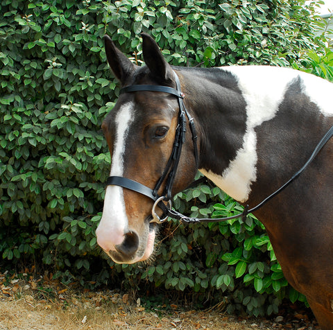 Hunter Bridle with Wide Cavesson Noseband