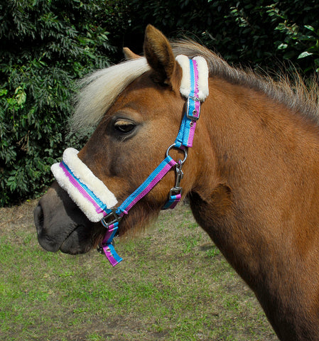 Bright Striped Fur Trimmed Headcollar