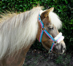 Bright Striped Fur Trimmed Headcollar