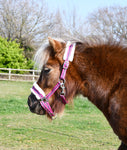 Bright Striped Fur Trimmed Headcollar